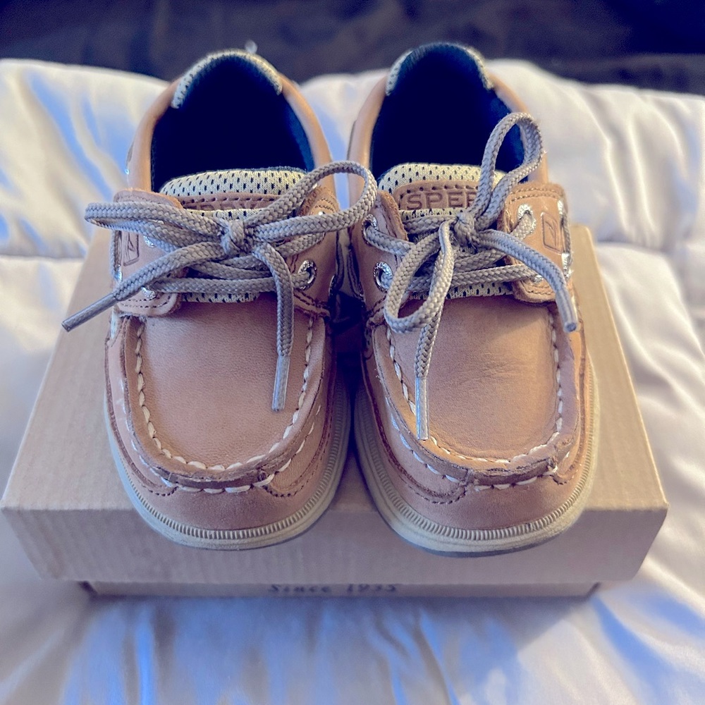 Toddler size 6 Sperrys
